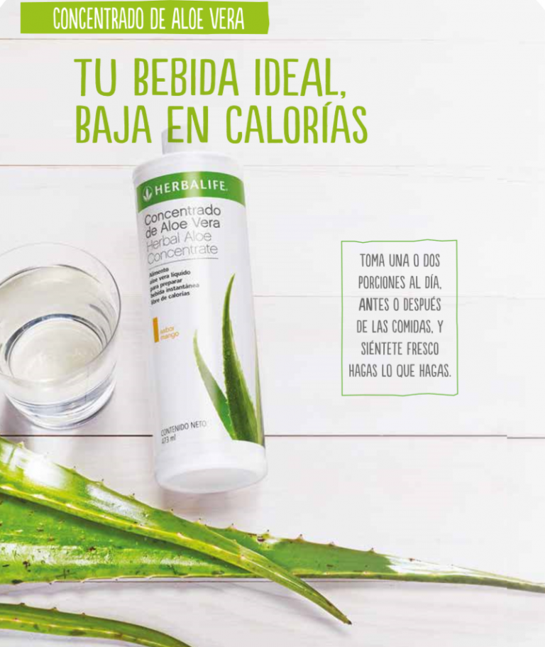 Aloe vera Concentrado Batidos herbalife santiago