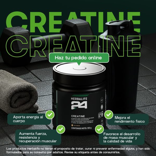 H24 Creatine Herbalife Batidos.cl
